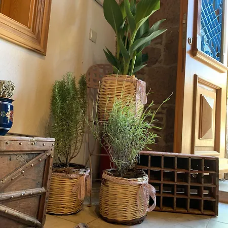 Fragrante - Adult Only 3*